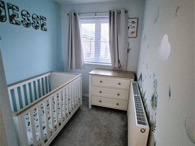 Picture 11